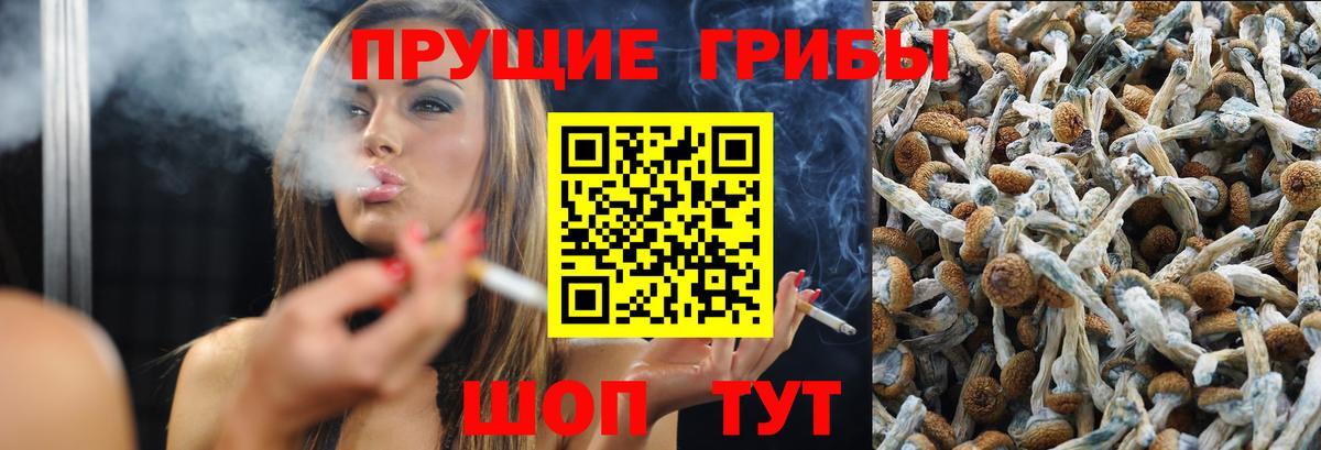 Галлюциногенные грибы прущие грибы Пугачёв